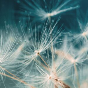 Accompagnement suite opération, blessures, choc émotionnel